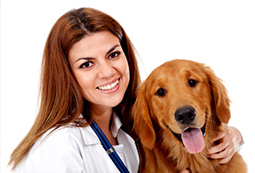 Berufsbild des Tierheilpraktikers