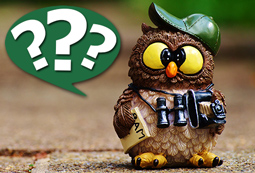 Häufig gestellte Fragen zum Tierheilpraktiker