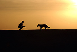 Was ist Tierpsychologie?